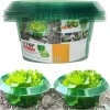 Plants Slug Protection Rings Vegetables Cover Plant Snail Collar Guard Green Planter Flower Pot Pest Control Trapper Garden Tool