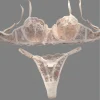 Sexy Lace Floral Underwear Set Women's Ultra-Thin Bra Set 2-Piece Bra And Panties Combo for Ladies
