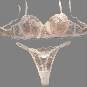 Sexy Lace Floral Underwear Set Women's Ultra-Thin Bra Set 2-Piece Bra And Panties Combo for Ladies