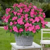 Silk Balsam Artificial Flowers High Quality Wedding Home Room Table Centre Decora Wreath Bridal Bouquets Yard Filler Arrangement