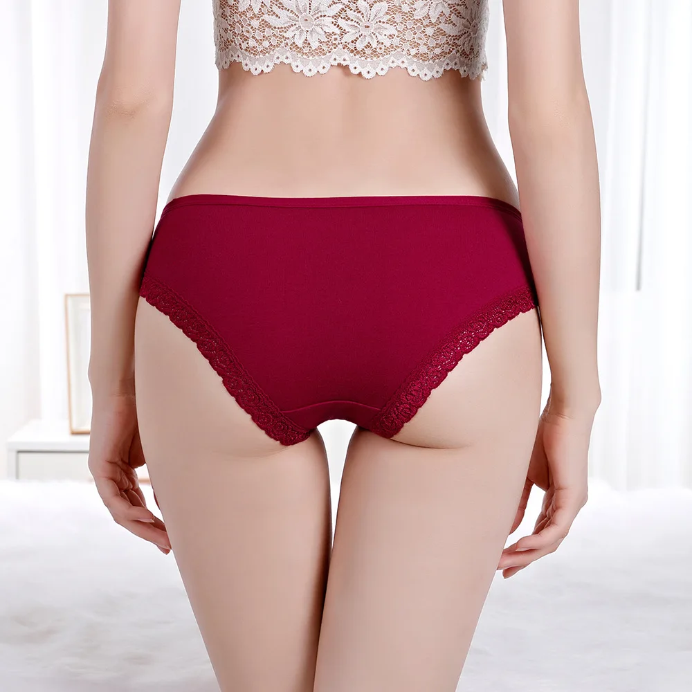 Women Underwear Cotton Sexy Lace Ladies Knickers Panties Low Waist Everyday Briefs 5 pcs/lot - Image 3